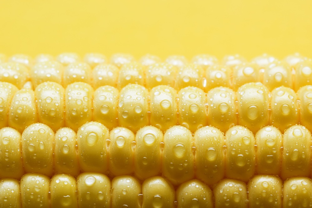 Corn