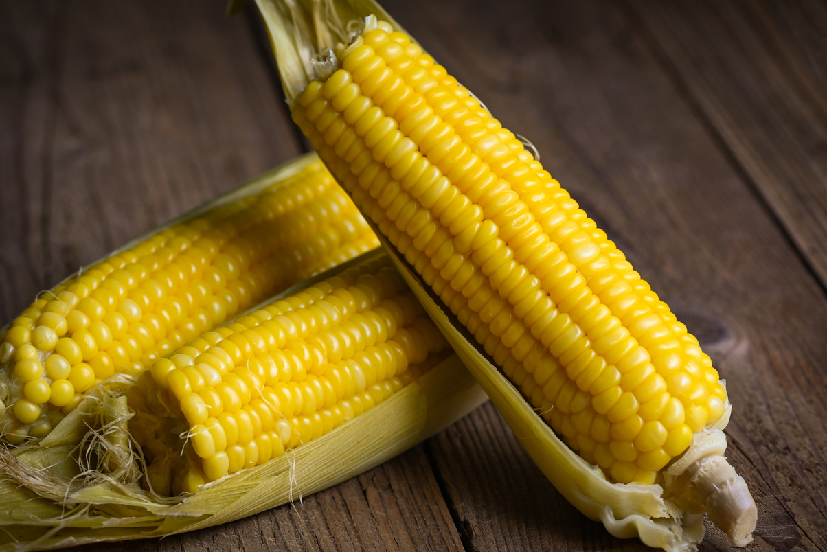 sweet corn cooked on wooden background, ripe corn cobs steam