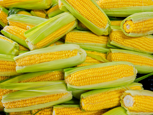 Sweet Corn