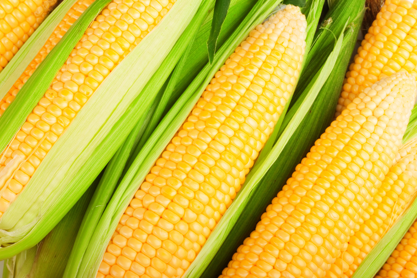 fresh corn fruits
