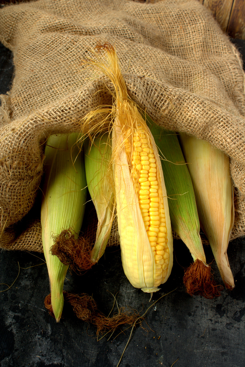 Fresh Harvest Corn